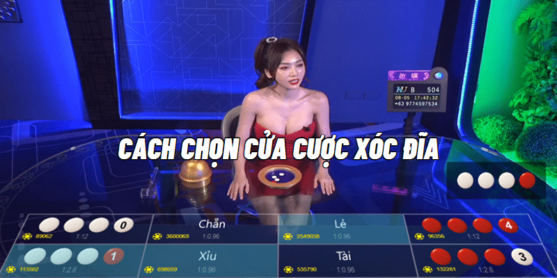 Cách chọn cửa cược xóc đĩa